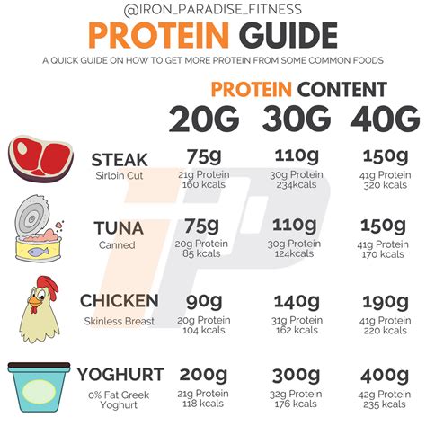 how much protein per day